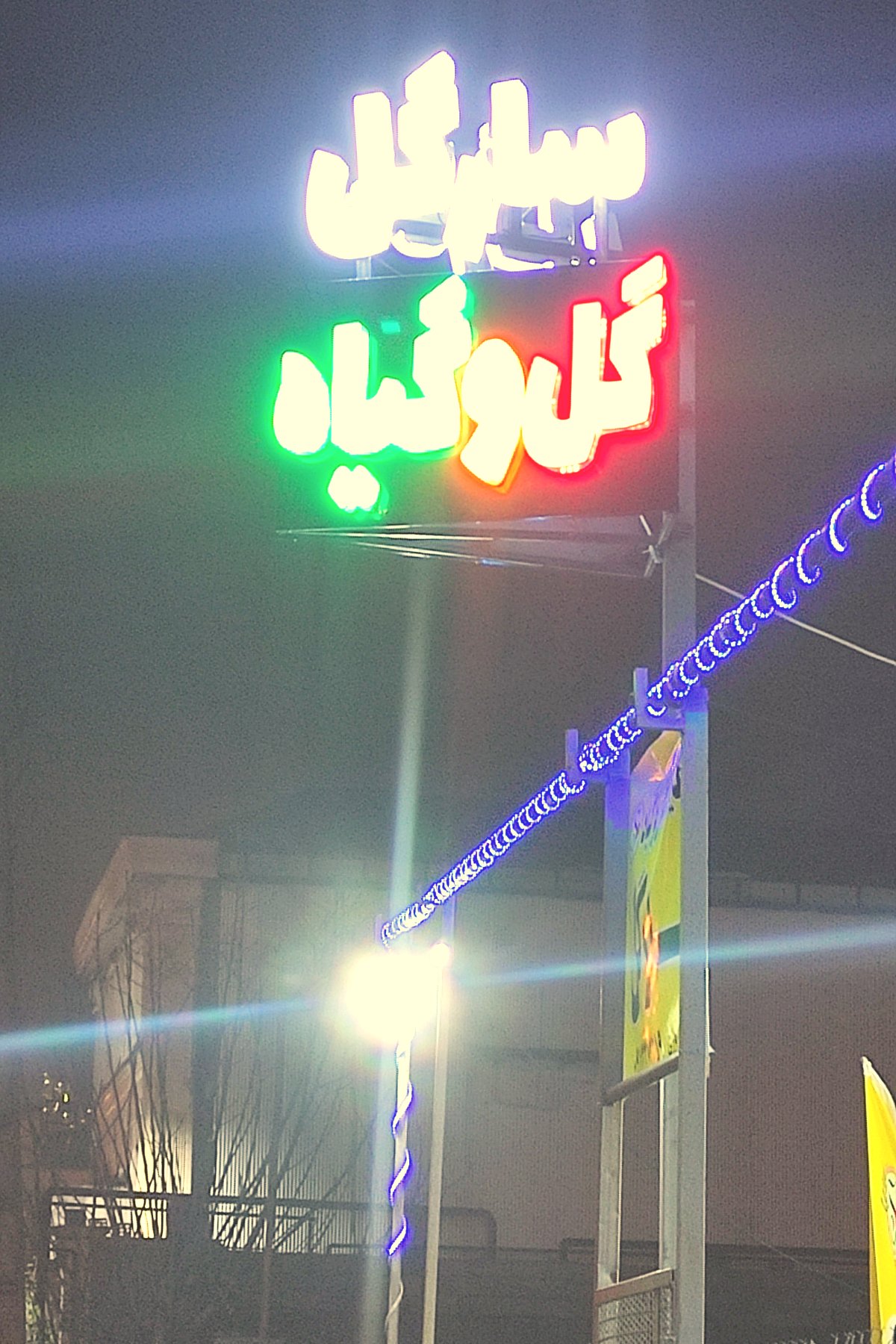 گل و گیاه سارگل